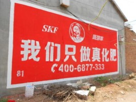 玉龙刷墙广告”蕴含了时代命题