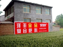 玉龙如何让墙体广告展现最大化效果