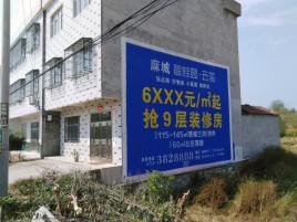 玉龙墙体广告质量分析