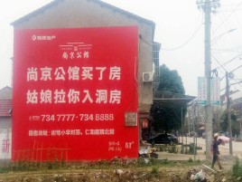 玉龙墙体广告在乡镇、农村市场的媒体优势