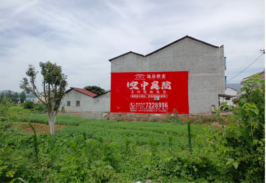 玉龙做墙体广告的意义