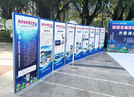 玉龙KT板的种类和知识。